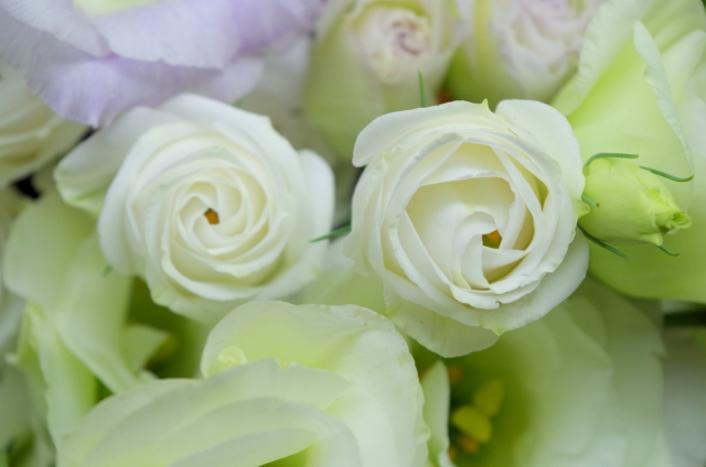 トルコキキョウ(10月10日の誕生花)